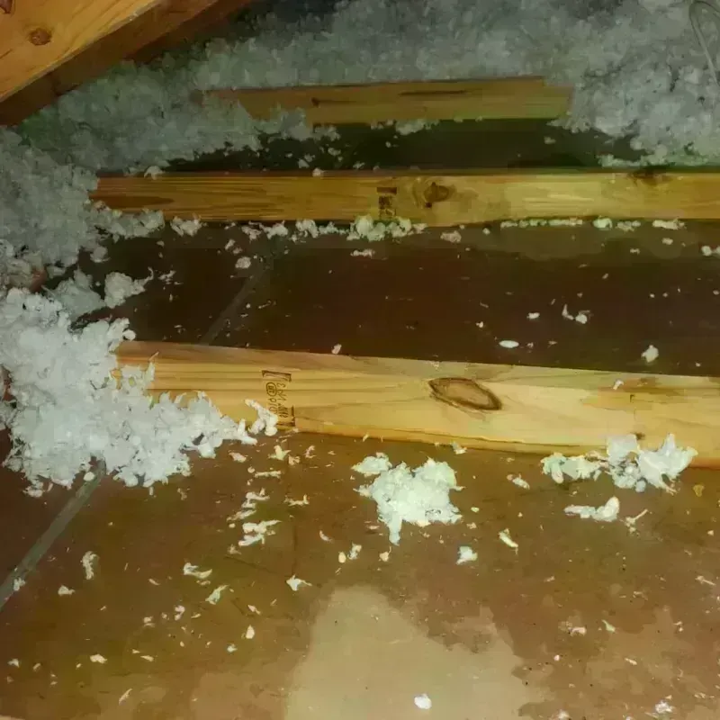 Attic Water Damage in Fulton, MO