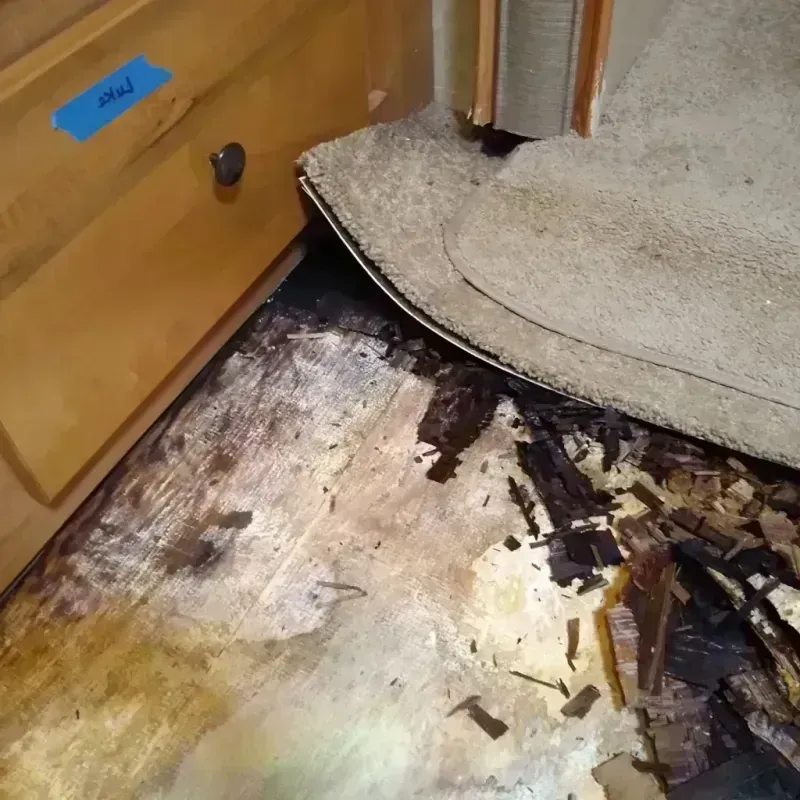 Wood Floor Water Damage in Fulton, MO